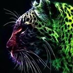 Profile Picture of Chris Bloch (@bloch_chris) on Instagram