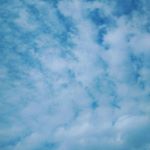 Profile Picture of Tony_Dawn_Phillips (@lps_dawnnie) on Instagram