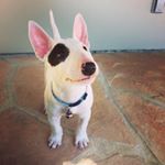 Profile Picture of McKeever (@the_mckeever) on Instagram