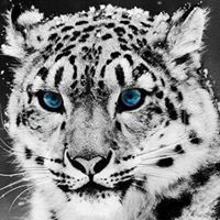 Profile Picture of Lori Campbell (@lori-campbell-46) on Quora