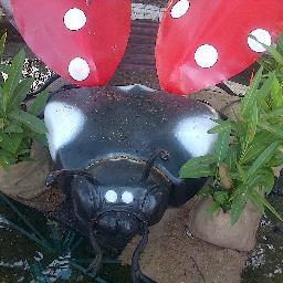 Sonnia Martinez - Twitter Profile Picture of Sonnia Martinez (@ApoloniaSonnia) on Twitter