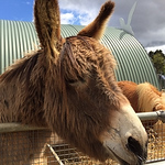 Profile Picture of Craig Durkee (@craigdurkee75) on Flickr