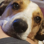 Profile Picture of Nicholas Patino (@nicholaspatino770) on Youtube