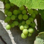 Profile Picture of Lendell (@lendellsteven209) on Instagram