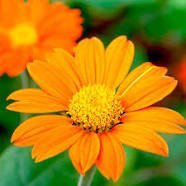 Alten_John - Twitter Profile Picture of Alten_John (@AltenJohn1) on Twitter