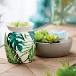 Profile Picture of paulette day (@paulette.scentsy) on Instagram