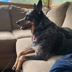 David N Michelle Abramowski - Facebook Profile Picture of David N Michelle Abramowski (@david.abramowski1) on Facebook