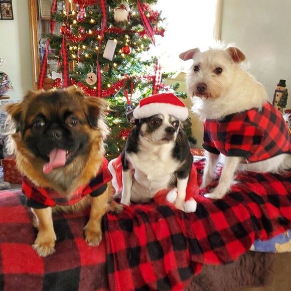 Profile Picture of Joellen Scott (@joscott1015) on Poshmark