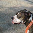 Profile Picture of Margaret Congleton (@margaret.congleton.1) on Facebook