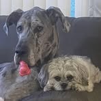 Profile Picture of Gregg Dibble (@gregg.dibble) on Facebook