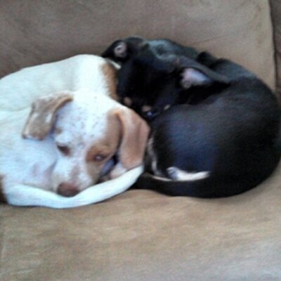 Profile Picture of John Chretien (@jchretien2013) on Twitter