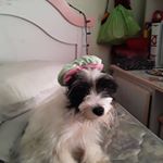 Profile Picture of Bella Nicole Salter (@_bella.salter_) on Instagram