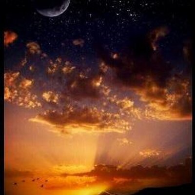 Profile Picture of Chris Alban (@crisbird36) on Twitter