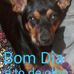 Profile Picture of Clarinda Fabruzzi Fabruzzi (@clarindafabruzzi.fabruzzi) on Facebook