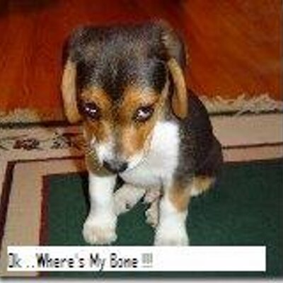 Profile Picture of Anthony Renshaw (@debunkerhere) on Twitter