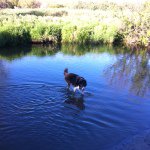 Profile Picture of Corrie Phillips (@corrwood) on Instagram