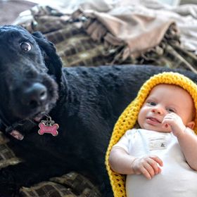 Profile Picture of Nerissa Carlson (@nerissabland) on Pinterest