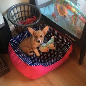 Profile Picture of Laurell Hodges (@laurellmc) on Pinterest