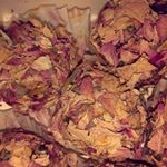 Profile Picture of randallarmstrong625 (@randallarmstrong625) on Instagram