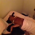 Profile Picture of John Honeybone (@john.honeybone) on Instagram