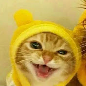 Amelia Dennis - Youtube Profile Picture of Amelia Dennis (@ameliadennis855) on Youtube