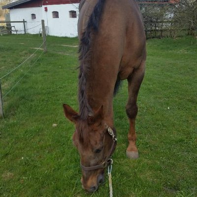 Profile Picture of Sally Larsen (@SallyLarsen4) on Twitter