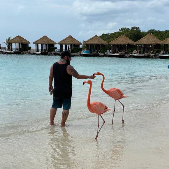 Profile Picture of Tim Cacia (@timc2110) on Poshmark