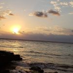 Profile Picture of Yolanda Alvarado (@yolanda.alvarado.351) on Instagram