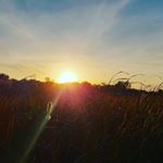 Profile Picture of jacob brandt (@thefishingowl) on Instagram