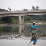 Profile Picture of Sean Greene (@teedotsean) on Instagram