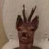 Profile Picture of Lewis Main (@nsc_trickz) on Tiktok