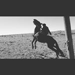 Profile Picture of Alexander Morales (@6926alexander) on Instagram