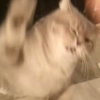 Profile Picture of Chui Wai Fung (@ChuiWaiFung1) on Twitter