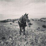 Profile Picture of Mark Menges (@markmenges) on Instagram