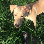 Profile Picture of Laurieth Serrano (@lauriethserrano) on Instagram