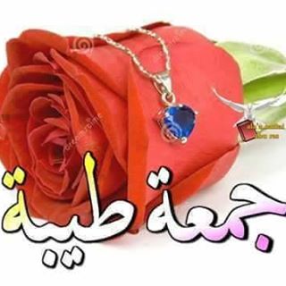 Profile Picture of Maamar Yamani (@eldaragi.osama) on Facebook