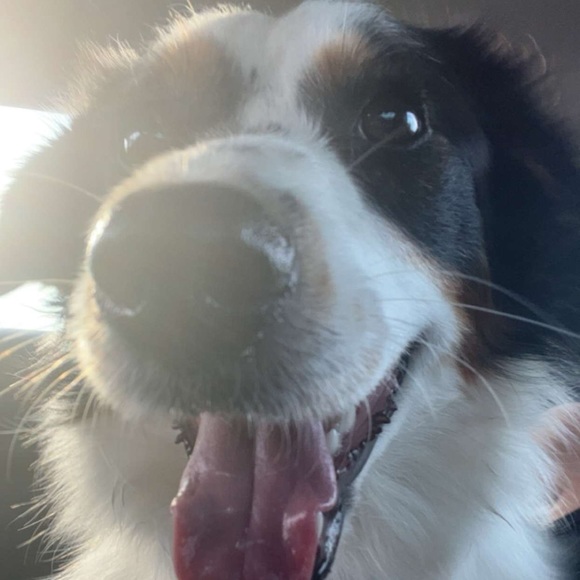 Profile Picture of Cali Bader (@calibader594) on Poshmark