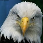 Profile Picture of Steven Kwiecinski (@Steven-Kwiecinski) on Facebook