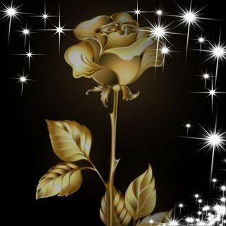 Profile Picture of Tamara Carydias (@tamara.carydias) on Facebook