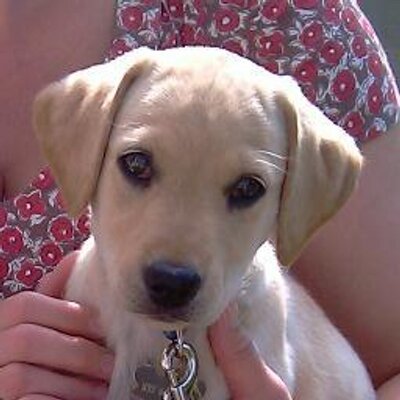 Profile Picture of Maria Matthews (@MatthewsMaria) on Twitter