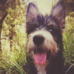 Profile Picture of Scott Summerfield (@TiberiusJane) on Twitter