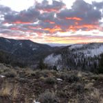 John Snelling - Instagram Profile Picture of John Snelling (@john_snelling) on Instagram