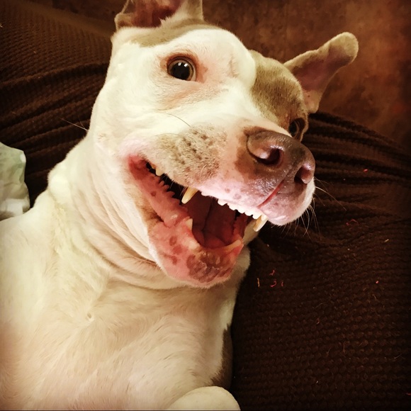 Profile Picture of Ginny Rooker (@grook22) on Poshmark