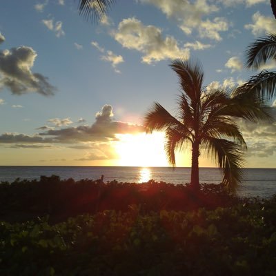 Profile Picture of D_vanner (@david_van) on Twitter