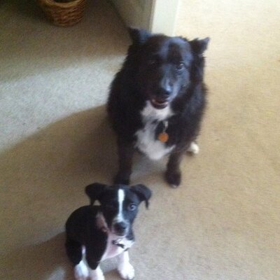 Profile Picture of Shelly Worrell (@shellintx) on Twitter