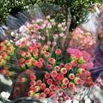 Profile Picture of Emilio Vanegas (@Emilio-Vanegas) on Facebook