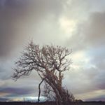Profile Picture of Barbara Anne Kearney (@kinyouimagine) on Instagram