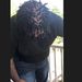 Profile Picture of Dion Holmes (@dionholmes1) on Pinterest