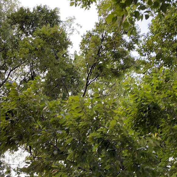 Profile Picture of Jephthah Carter (@jephthahcarter) on Poshmark