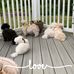 Profile Picture of Cindy Syphers (@cindy.syphers.5) on Facebook